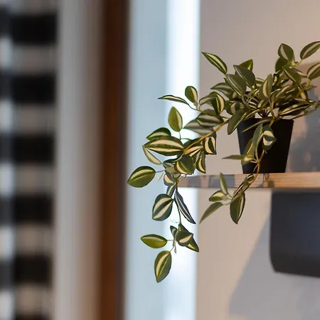 Apartament Lazurowa Street Parking & Balcony By Renters *